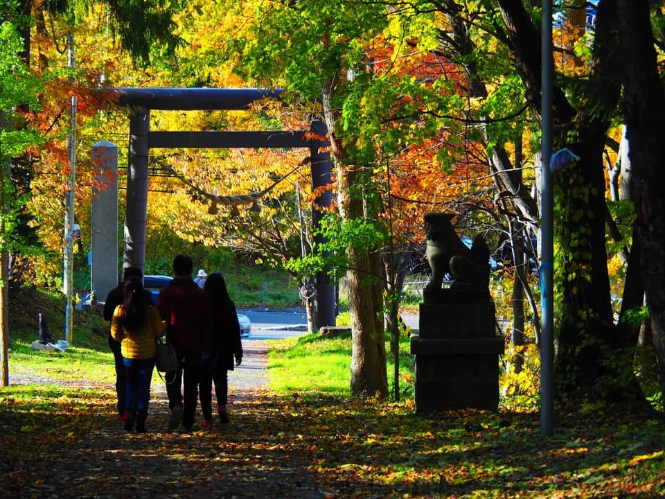 紅葉の参道を鳥居に向かって歩く人たち。脇に石の狛犬が立つ