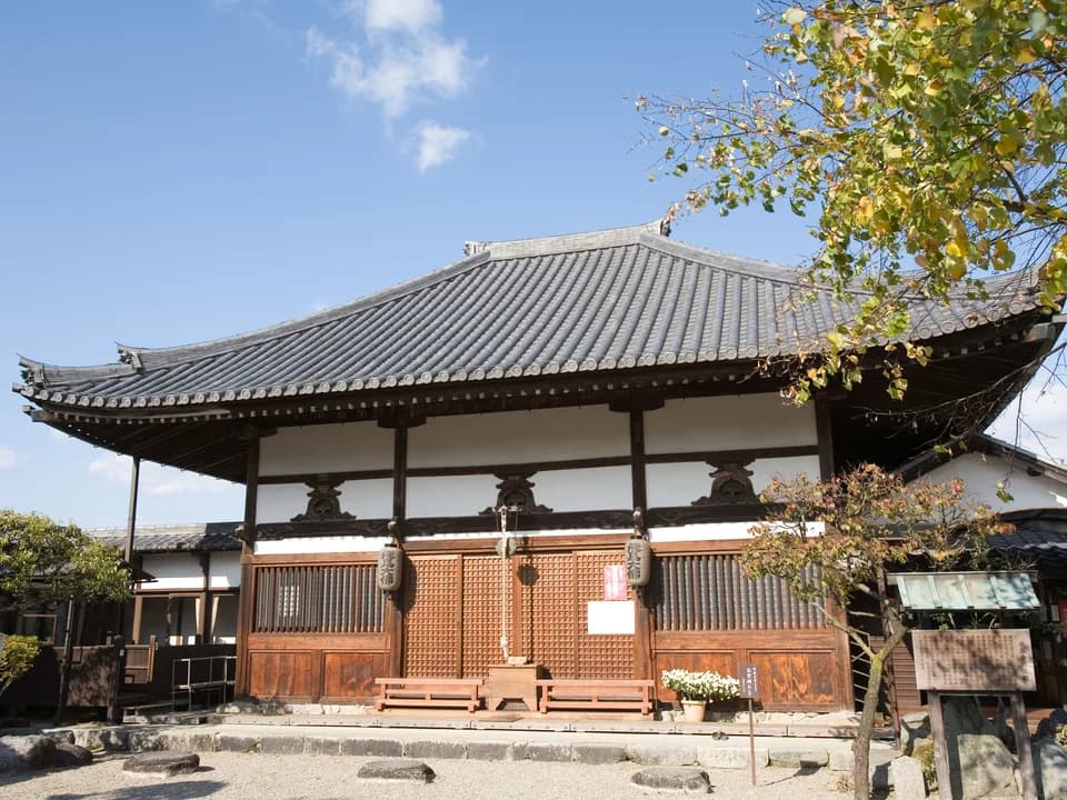 飛鳥寺の本堂を正面から見たところ。白壁に茶色の木部、灰色の瓦屋根の建物で、手前に白い菊の鉢が置かれ、右から黄葉の枝が張り出す
