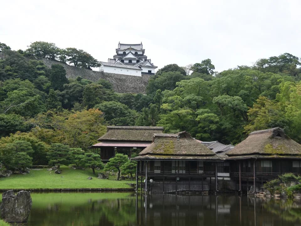 玄宮園の池越しに、木々に覆われた石垣の丘の上に立つ彦根城天守を望む。手前には茅葺き屋根の建物が水面に映り込む