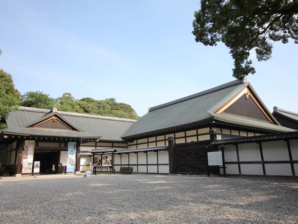 砂利敷きの広場から見た彦根城博物館。白壁と黒い木組みの建物に灰色の瓦屋根が重なり、青空の下、右手に木の枝が伸びる
